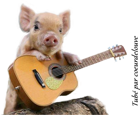 Tube-coeurdelouve_-_Cochon_musicien_2